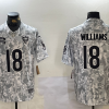 Men's Chicago Bears Caleb Williams #18 Arctic Camo 2024 Salute to Service Limited Jersey