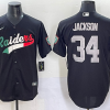 Men's Las Vegas Raiders Bo Jackson #34 Black Alternate Jersey