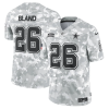 Men's Dallas Cowboys DaRon Bland #26 Arctic Camo 2024 Salute to Service Limited Jersey