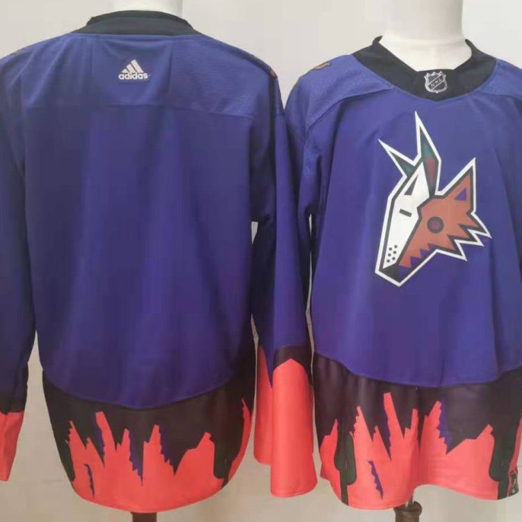 Men's Arizona Coyotes Blue Blank Jersey
